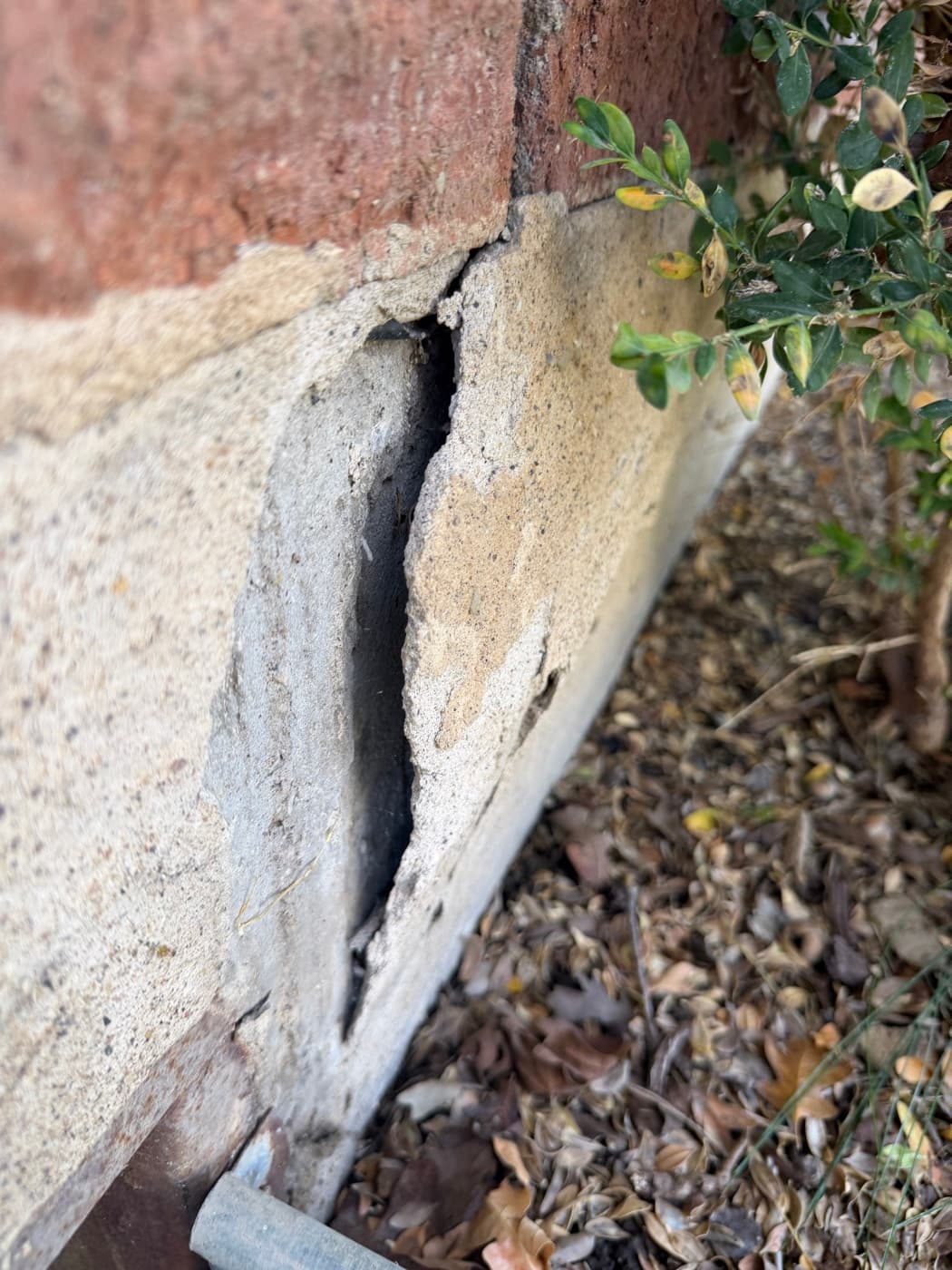 Cracked plaster — a common insect entry point